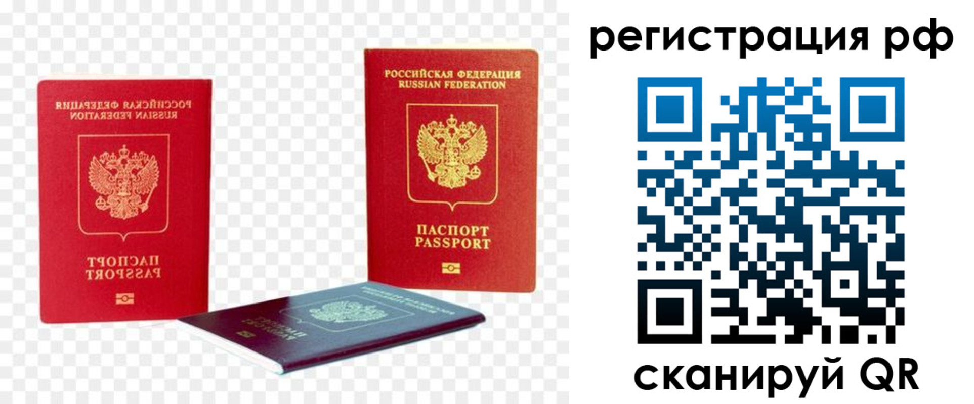 прописка паспорт в Светлогорске