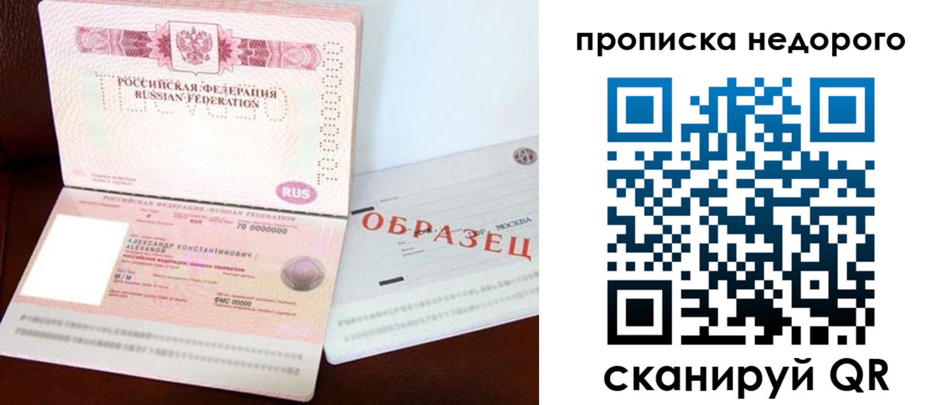 прописка от собственника в Светлогорске
