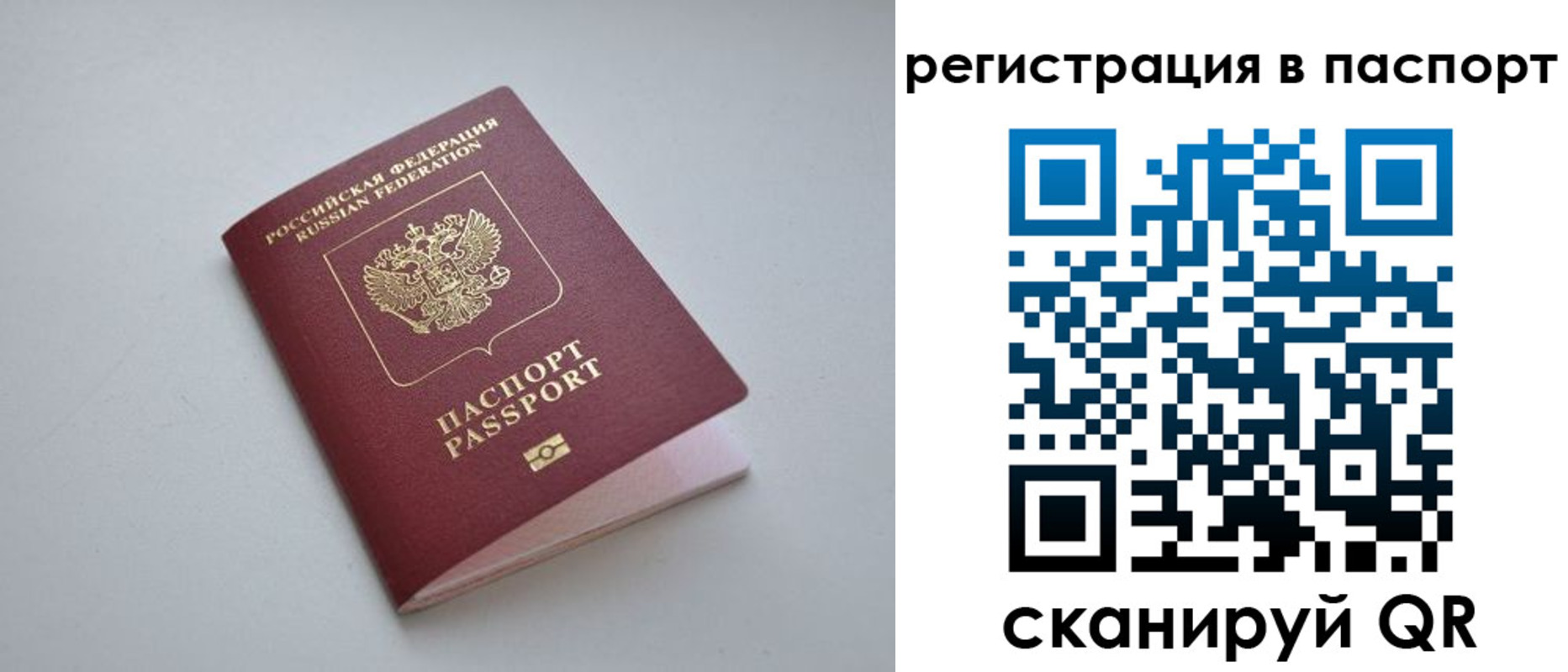 найти адрес прописки в Светлогорске